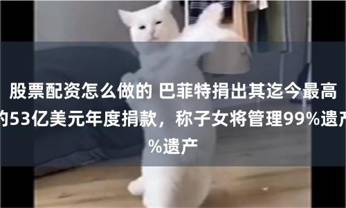 股票配资怎么做的 巴菲特捐出其迄今最高的53亿美元年度捐款，称子女将管理99%遗产