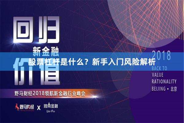 股票杠杆是什么？新手入门风险解析