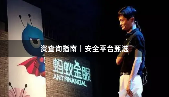 资查询指南｜安全平台甄选